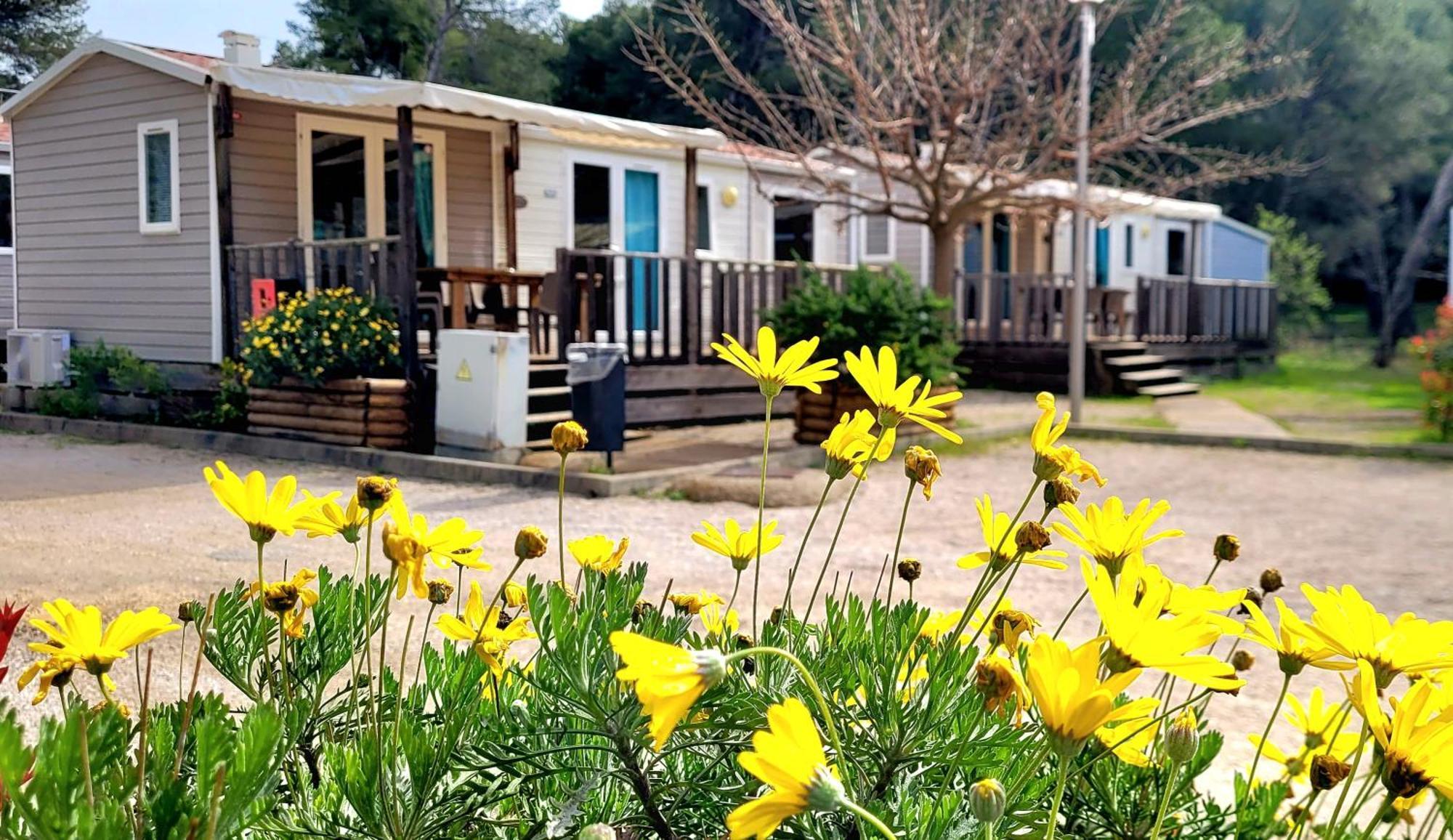 Camping Aux Portes De Cassis Roquefort-la-Bedoule Εξωτερικό φωτογραφία